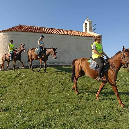 Vakantiehuis Holiday Zaton Holiday Resort.25 Nin